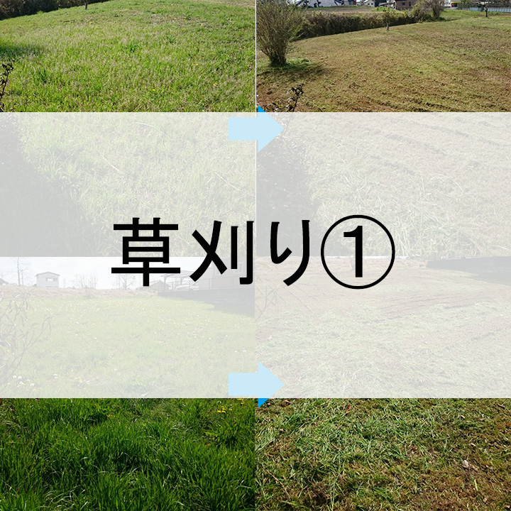 草刈り①サムネ